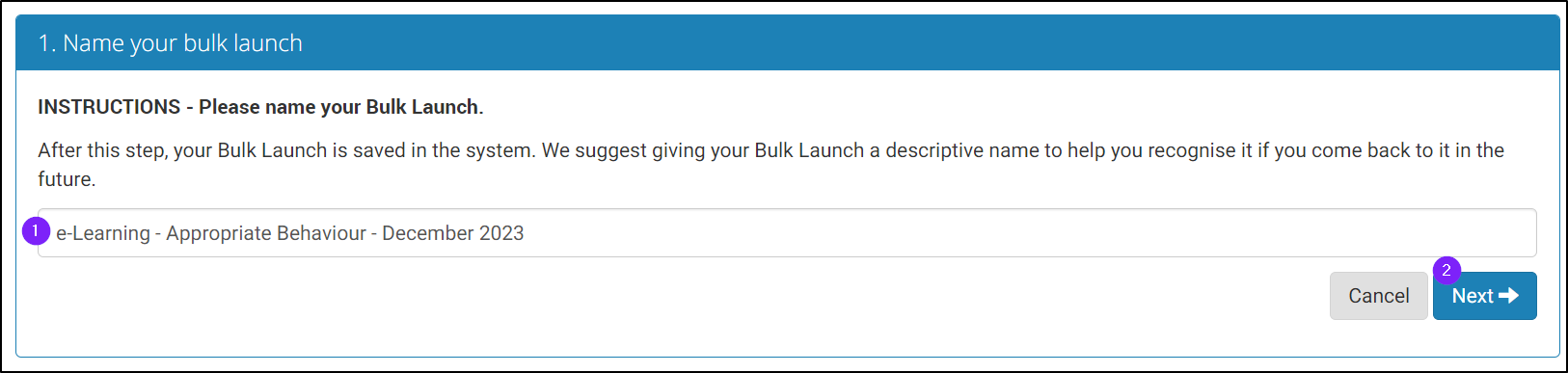 e-Learning - Name your bulk launch 2.png